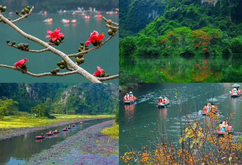 Vẻ đẹp ở Tràng An theo 4 mùa