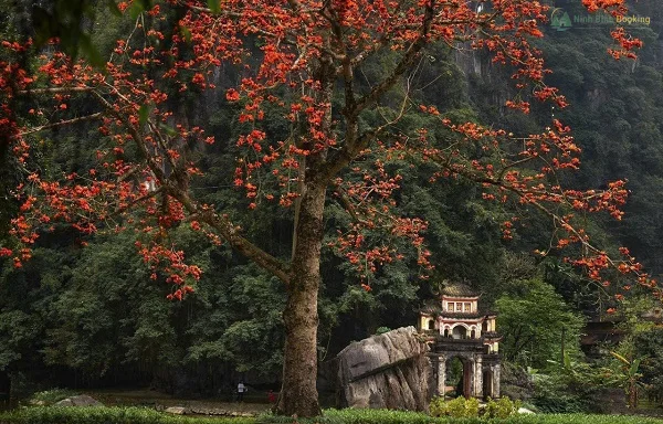 Ch&ugrave;a B&iacute;ch Động
