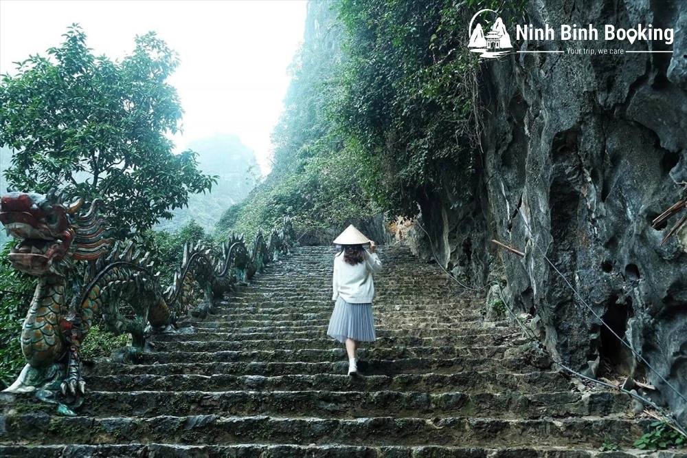 Con đường đ&aacute; nổi tiếng dẫn l&ecirc;n đỉnh Hang M&uacute;a Ninh B&igrave;nh.