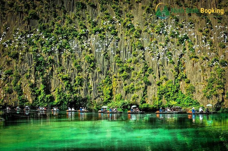 Van Long Nature Reserve