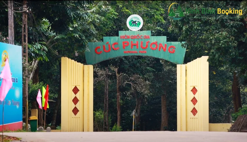 Cuc Phuong-Wald – Der schönste und friedlichste Urwald im Norden
