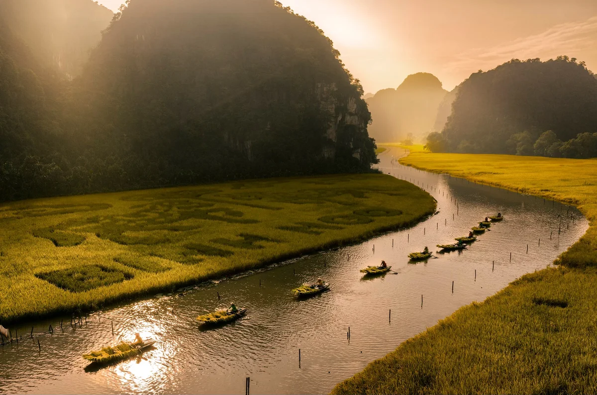 Sắc vàng Tam Cốc 2026