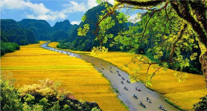 Tam Coc – Bich-Dong-Pagode: Friedliche Schönheit mitten im Wasser Ninh Binh